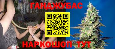 гидропоника Можга