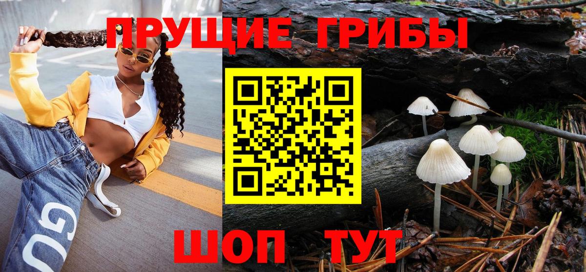 Псилоцибиновые грибы Cubensis Новодвинск