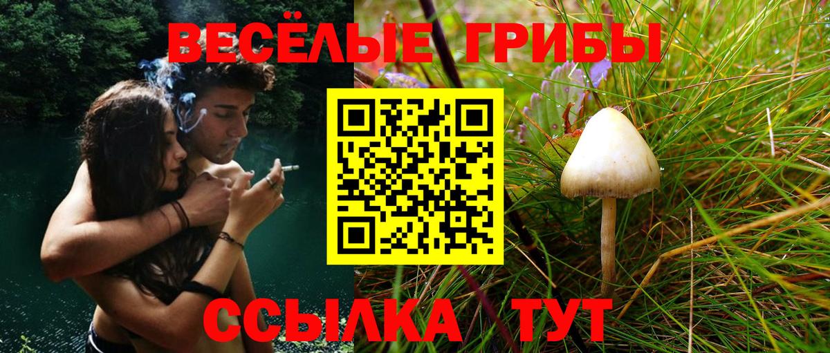 Новодвинск  Галлюциногенные грибы ЛСД  Галлюциногенные грибы MAGIC MUSHROOMS  Вход с VPN 